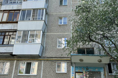 Екатеринбург, ул. Заводская, 46 (ВИЗ) - фото квартиры