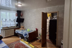 Екатеринбург, ул. Заводская, 42 (ВИЗ) - фото квартиры