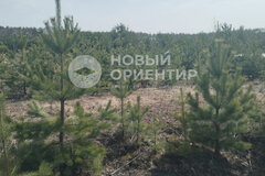 Екатеринбург, ул. Красная, 1б/9 (Горный щит) - фото земельного участка
