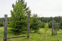 д. Ключи (г.о. Белоярский), ул. Уральская, 10А (городской округ Белоярский) - фото земельного участка