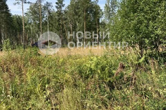 с. Кунгурка, ул. Участок рядом с лесом (городской округ Ревда) - фото земельного участка