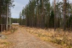 п. Кедровое, ул. Тихая, 15 (городской округ Верхняя Пышма) - фото земельного участка