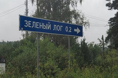 п. Зеленый Лог (городской округ Полевской) - фото земельного участка