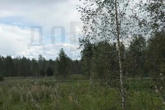 с. Кунгурка, ул. урочище Дегтяные (городской округ Ревда) - фото земельного участка