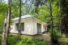 Екатеринбург, ул. тракт. Дублер Сибирского тракта, 111б (М.Исток) - фото коттеджа