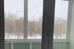 Екатеринбург, ул. Чкалова, 5 (Втузгородок) - фото квартиры
