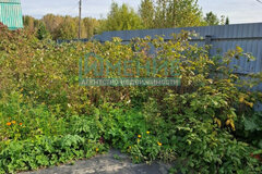 п. Гусевка, д. 14 (городской округ Ревда) - фото дачи