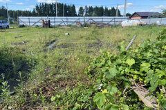д. Токарево, ул. Ясная, 60 (городской округ Сысертский) - фото дома
